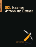 SQL_Injection_Attacks_and_Defense.pdf